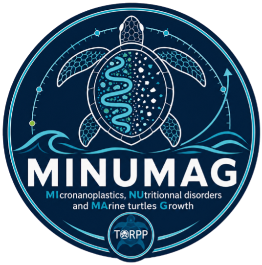 MINUMAG