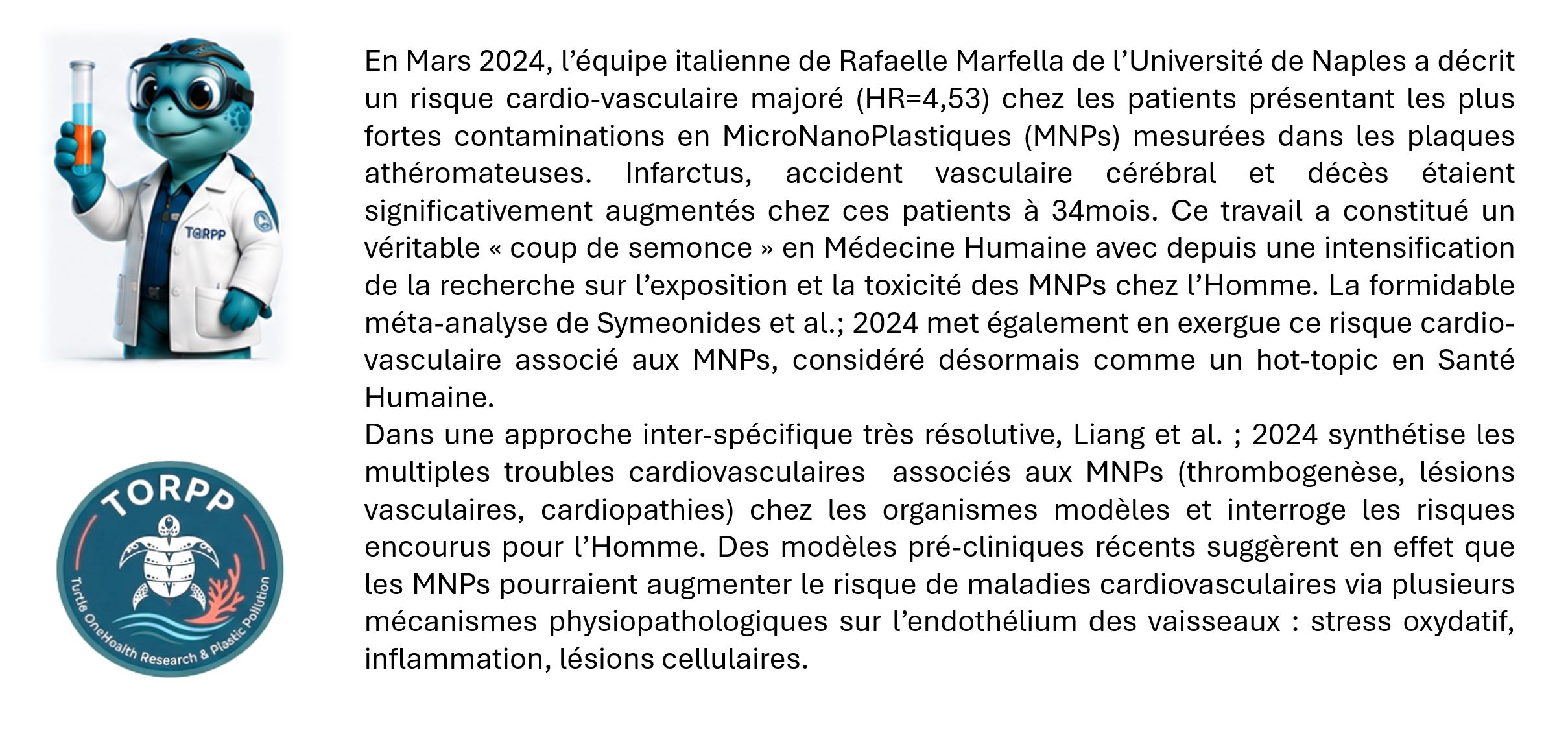 Illustration TORPPY expliquant la toxicité cardiovasculaire des microplastiques et nanoplastiques