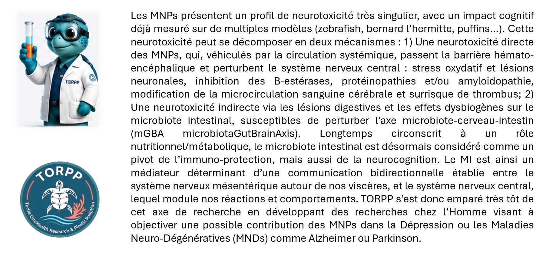 Illustration TORPPY expliquant la neurotoxicité des microplastiques et nanoplastiques sur le système nerveux